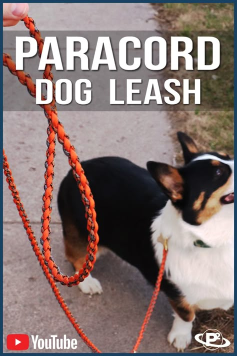 Use a four-strand round braid to make a shock-absorbing paracord dog leash. Turn either end into a convenient handle using snap hooks. Add an extra o-ring to turn the leash into a slip collar. Paracord Dog Leash Tutorial, Dog Leash Diy, Round Braid, Paracord Dog Leash, Paracord Braids, Paracord Crafts, Diy Dog Collar, Paracord Dog Collars, Diy Dog Toys