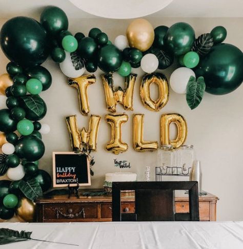 Two Wild Balloon Banner- Two Wild Birthday Party, Second Birthday, Boy Birthday Balloons, Safari Birthday, Two Wild Birthday Girl Safari Birthday Decor, Two Wild Birthday, Second Birthday Boys, 2nd Birthday Party For Boys, 2nd Birthday Party For Girl, Wild Birthday Party, 2nd Birthday Boys, Second Birthday Ideas, Two Wild