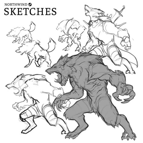 Wolf Boss Character Design and Concept Art #2dgame #deckbuilding #r... - Northwind by Barkingkitten Wolf Muzzle Reference, Werewolf Anatomy Design Reference, Fenrir Character Design, Big Bad Wolf Character Design, Monster Wolf Art, Wolfman Character Design, Werewolf Poses Reference Drawing, Werewolf Art Reference, Wolf Creature Design