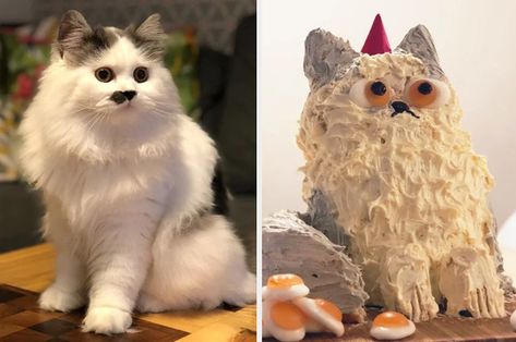 27 Cake Fails From The Past Decade That Will Never Not Be Funny Epic Cake Fails, Cake Fail, Squirrel Cake, Cursed Cakes, Dark Sarcasm, Bad Cakes, Baking Fails, Panda Cookies, Tiger Cake