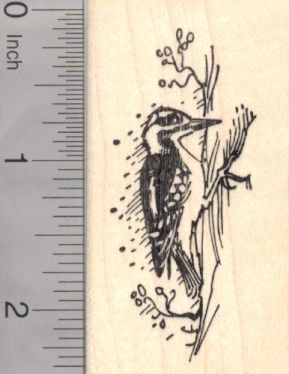 Downy Woodpecker Rubber Stamp *** Click image to review more details. Bird Rubber Stamps, Downy Woodpecker, Pet Vet, Mythological Creatures, Flags Of The World, Pet Loss, Book Plates, Exotic Pets, Rubber Stamp