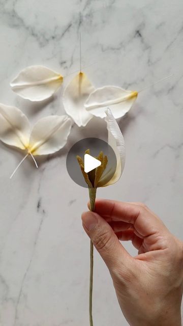 Fondant Flower Tutorial, Gumpaste Flowers, Creative Birthday Cakes, Creative Birthday, Fondant Flowers, Bolo Fake, Diy Crafts Paper Flowers, Kids Clipart, Sugar Flowers