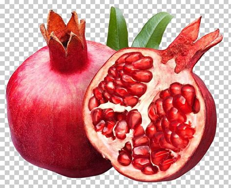 Pomegranate Poster, Watercolor Pomegranate, Pomegranate Art, Pomegranate Fruit, Watercolor Art Paintings, Fruit Photography, Red Pomegranate, Color Shampoo, Pomegranate Seeds