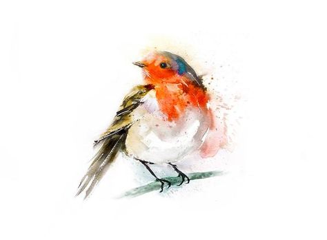 Robin Watercolour, Robin Illustration, Cheap Art Prints, Robin Tattoo, Aquarelle Drawing, Painting Birds, Bird Sketch, Red Robin, Signed Artwork