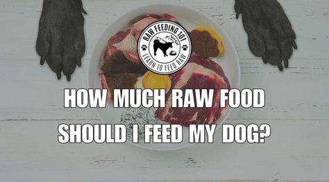 Transitioning your dog to a raw food diet involves more than just serving them uncooked meals; it's about embracing a diet that closely aligns with their natural eating habits and physiological needs. This guide is crafted to navigate do... Food For Beginners, Dog Raw Diet, Raw Feeding For Dogs, Natural Eating, Balanced Meal Plan, Raw Dog Food, Raw Dog Food Recipes, Raw Diet, Dog Nutrition