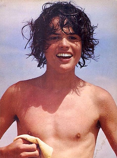 Shirtless Donny Osmond at the beach, 1973 Ann B Davis, Barry Williams, Brady Kids, Osmond Family, The Osmonds, The Brady Bunch, Donny Osmond, David Cassidy, Christopher Knight