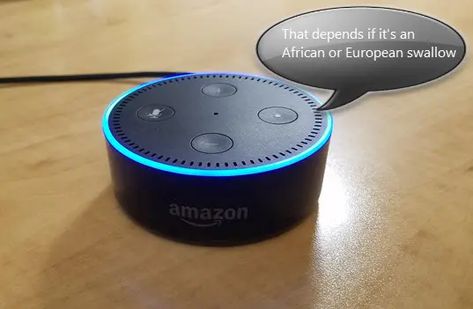 We thought it would be really cool to figure out what funny, geeky and, creepy questions we could ask Alexa. Here are some of the awesome questions we found. What Not To Ask Alexa, Questions To Ask Alexa, Creepy Questions, Ask Alexa, Things To Ask, Am I Pretty, Favorite Questions, Geeky Humor, Tootsie Pop