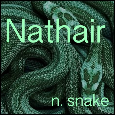 Boys Name: Nathair; Name Meaning: snake; Name Origin: Scottish Names Meaning Snake, Names That Mean Snake, Scottish Boys Names, Snake Names, Name Origins, Fantasy Names, Pretty Names, Name Inspiration, Writing Characters