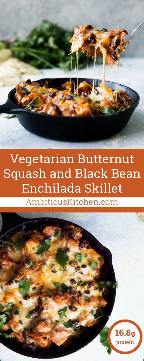 A healthy vegetarian Mexican-inspired dinner -- butternut squash and black bean enchilada skillet. Ready in less than 30 minutes! 13g fiber & 16g protein per serving! Squash Black Bean, Enchilada Skillet, Black Bean Enchiladas, Vegetarian Mexican, Butternut Squash Recipes, Vegetarian Dinners, Squash Recipes, Meatless Meals, Veggie Dishes