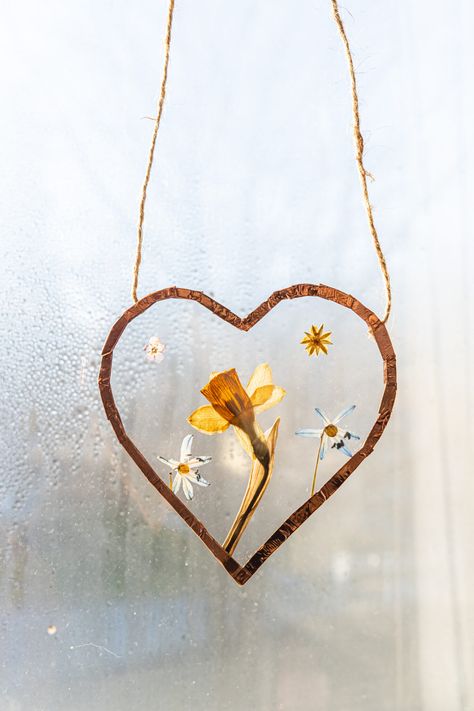 How To Make A Pressed Flower Sun Catcher - Live Lovely Photography Pressed Flower Suncatcher, Flower Sun Catcher, Make Your Own Stencils, Suncatcher Diy, Flower Suncatcher, Secret Garden Parties, Sharpie Pens, Adult Crafts, Seasonal Flowers