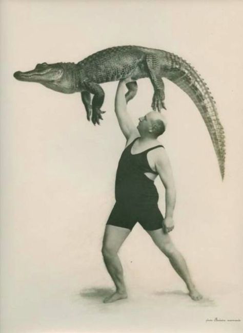 vintage everyday: 27 Incredible Vintage Photographs of People Posing With Alligators, Even Cuddle or Ride Them, from the Early 20th Century Cirque Vintage, Old Circus, Circus Sideshow, Circus Performers, Fotografi Vintage, People Poses, Peregrine, Vintage Circus, Foto Vintage