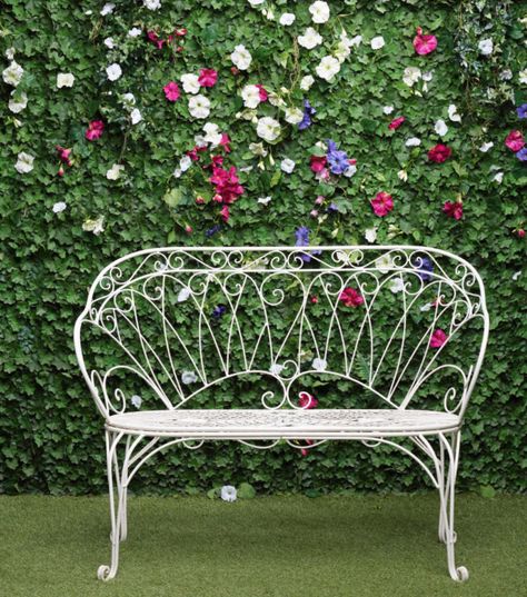 Green Wall Ideas, Vertical Green Wall, Garden Patch, Garden Ideas Diy, Dp Wallpaper, New Ceiling Design, White Bench, Honey Benefits, Photoshop Backgrounds Free