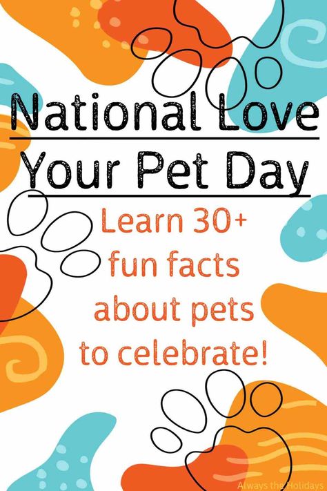 National Pet Day 2024, National Days In February, National Love Your Pet Day, National Black Cat Day, Love Your Pet Day, National Pet Day, Sleeping Kitten, National Days, Secret Life Of Pets