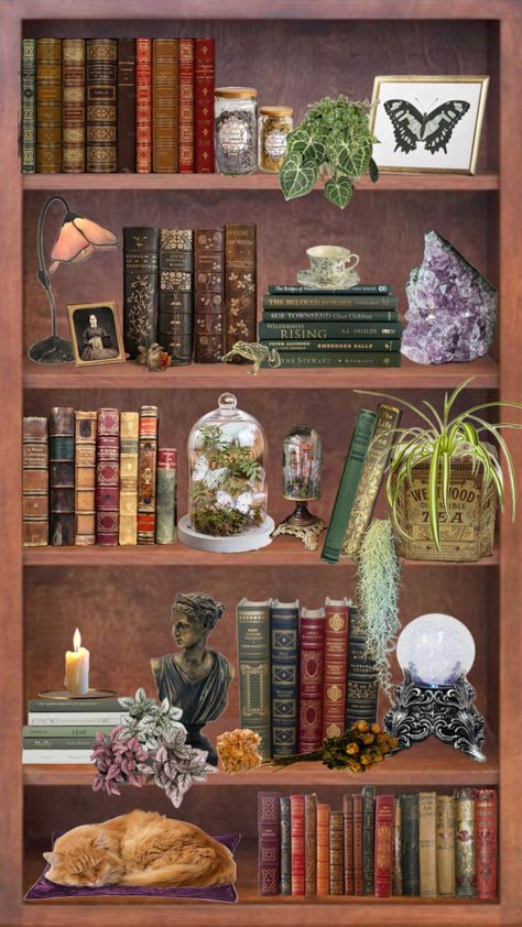 A witch’s bookshelf #witch #witchy #witchaesthetic #apothecary #thrifted #antiques Whimsigoth Bookshelf, Bookshelves Antique, Thrifted Antiques, Witch Bookshelf, Witchy Bookshelf, Apothecary Inspiration, Black Bookshelf, Bookshelf Art, Room Dark