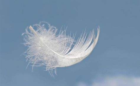 Light as a feather. Fluffy white feather floats above blue summer sky , #ad, #Fluffy, #white, #Light, #feather, #summer #ad My Safe Space, Diy Angel Wings, Feather Photography, Quiet Mind, Course In Miracles, A Course In Miracles, Ange Demon, Light As A Feather, Magic Aesthetic