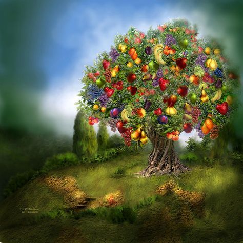 Why Many Advanced Souls Struggle with Abundance (Image - Tree of Abundance by Caro Cavalaris) Abundance Images, Dream Catcher White, Image Nature, Different Fruits, Fantasy Collection, Wallpaper Dekstop, Growing Tree, Art Background, Graphic Artist