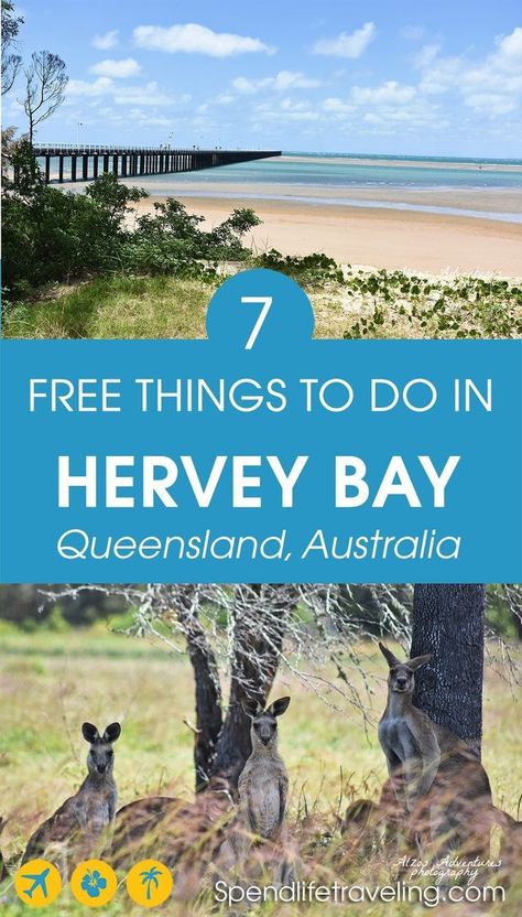 Traveling on a budget? These are some great free things to do in Hervey Bay, Queensland, Australia. #HerveyBay #visitQueensland #travelQueensland Hervey Bay Australia, Holidays Abroad, Nz Travel, Australia Tourism, Australia Itinerary, Australia Vacation, Abroad Travel, Hervey Bay, Australia Travel Guide