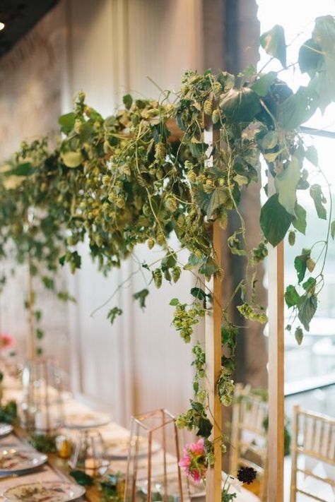 Drape hops vines over a golden wooden frame for a unique wedding centerpiece. Hops Bouquet, Centerpieces Non Floral, Green Wedding Centerpieces, Cheap Wedding Table Centerpieces, Unique Wedding Centerpieces, Greenery Wedding Centerpieces, Green Centerpieces, Magazine Shoot, Simple Wedding Flowers