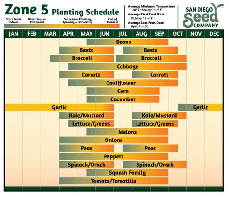 Flower Planting Guide, Planting Schedule, Vegetable Planting Guide, Growing Calendar, Flower Planting, Green Melon, When To Plant Vegetables, Planting Calendar, Planting Guide