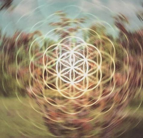 Sacred Geometric Symbols, Flower Of Life Tattoo, Dream Inspiration, Chill Lounge, Divine Union, Sacred Geometry Jewelry, Geometry In Nature, Surf Yoga, Trippy Visuals