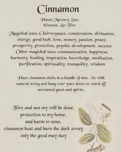 Herbs Meanings, Meaningful Crafts, Karma Spell, Wayward Sisters, Cinnamon Broom, Witchcraft Diy, Herbal Witch, Modern Day Witch, Hoodoo Spells