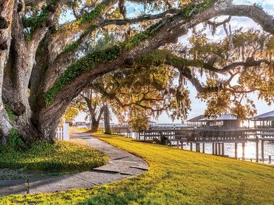 7 Reasons You’ll Fall in Love with Fairhope, Alabama | SouthernLiving Fairhope Alabama, Best Places To Retire, Fairhope Al, Girlfriends Getaway, Best Vacation Spots, Bay View, Travel Time, Gulf Shores, Down South