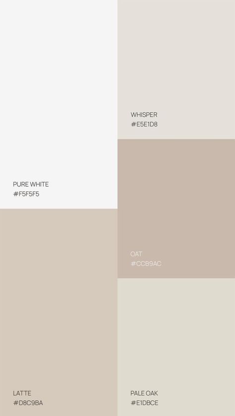 ✨✨amamos estos colores Oat Color Palette, Pantone Cream Shades, Esthetician Color Scheme, Beige Pallet Colour Palettes, Color Swatches Aesthetic, Classy Colour Palette, Living Room Color Pallet Ideas, Off White Color Palette, Vanilla Color Palette