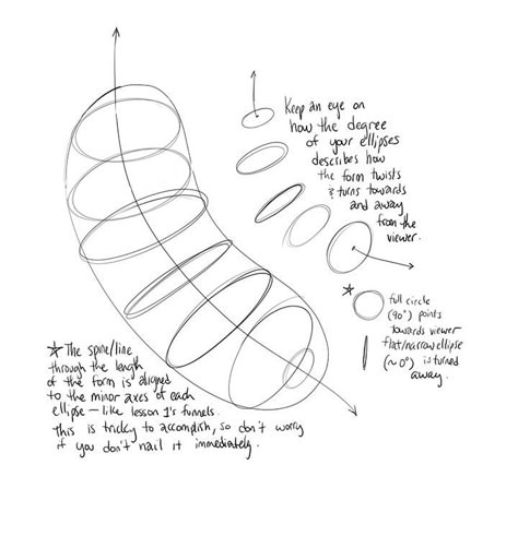 Art Schedule, Geometric Shapes Drawing, Contour Line Drawing, Study Drawing, Lines Texture, Structural Drawing, Form Drawing, Contour Lines, Perspective Drawing Lessons