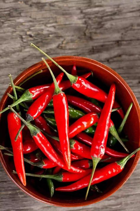 Where to Buy Chili Seeds - Chili Pepper Madness Chili Pepper Plant, Types Of Chili Peppers, Chile Peppers, Popular Appetizers, Thai Chili, Chile Pepper, Spicy Chili, Pepper Seeds, Hot Spicy