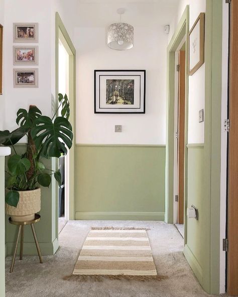 Hallway Colour Ideas, Green Wall Paint Colors, Hallway Wall Colors, Hallway Colour Schemes, Green Bedroom Paint, Painted Hallway, Hallway Paint Colors, Green Hallway Ideas, Hallway Paint