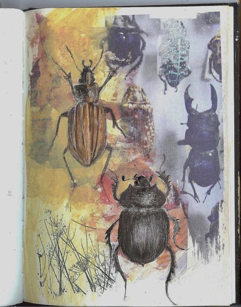 Sketchbook Layout, Textiles Sketchbook, Natural Form Art, Gcse Art Sketchbook, A Level Art Sketchbook, Theme Nature, Bug Art, Artist Sketchbook, Insect Art