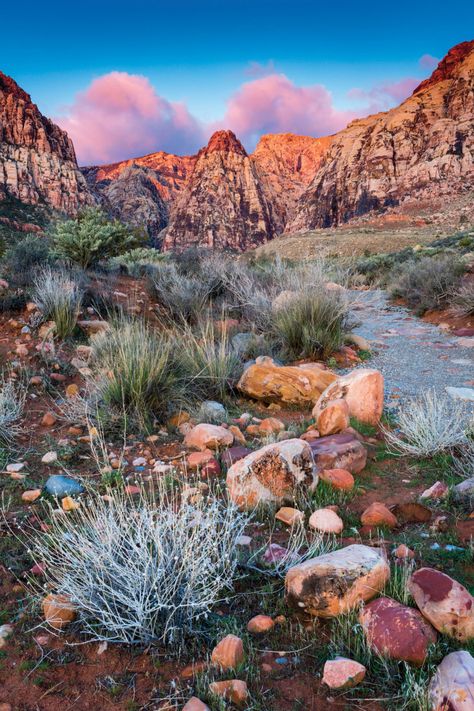 Red Rock Nevada, Hidden Forest, Red Rock Canyon National Conservation Area, Rainbow Mountain, Backcountry Camping, Sunrise Photos, Mountain Photography, Red Rock, Historical Place