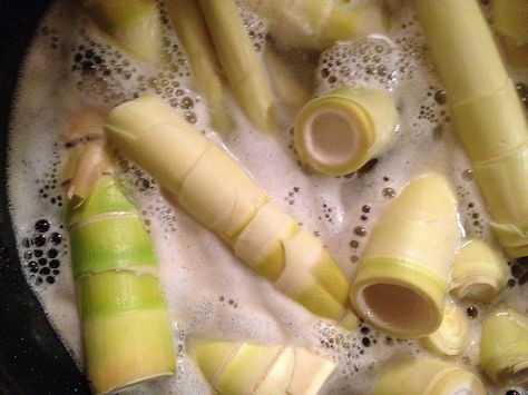 Kosher Dill Pickles, Baby Bamboo, Bamboo Shoots, Dill Pickle, Food Garden, Pickles, Health Tips, Health, Ethnic Recipes