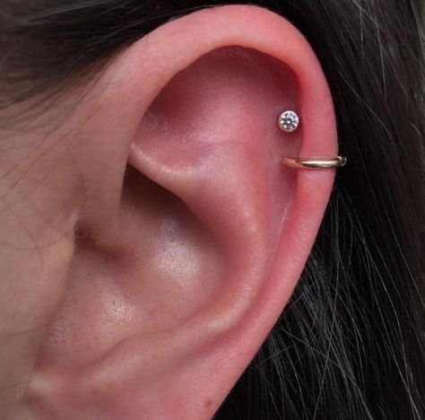 Next Piercing, Piercing Aftercare, Long Beach, Ear Piercings, Ear Cuff, Piercings, Diamond Earrings, Stud Earrings, Cuff