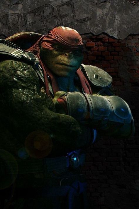 Ninja Turtles 2014, Raphael Tmnt, Fictional Character Crush, Teenage Mutant Ninja Turtles Artwork, Teenage Mutant Ninja Turtles Art, Ninja Turtles Artwork, Tmnt Artwork, Tmnt Art, Turtle Love