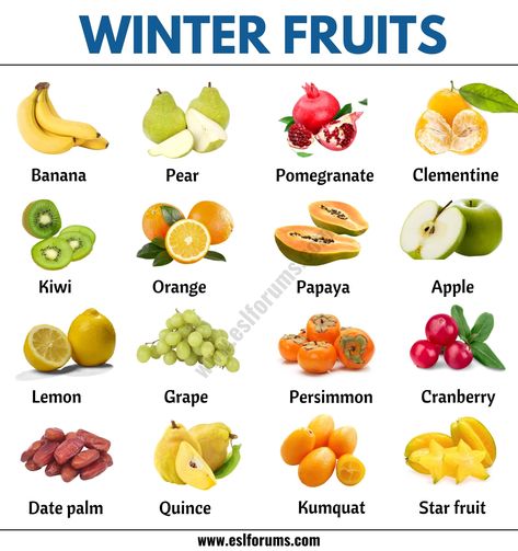 Winter Fruits: List of 15+ Types of Fruits You Can Find in the Winter - ESL Forums Winter Fruits And Vegetables, Vegetables Names With Pictures, Fruits In Season, Fruits And Vegetables List, Name Of Vegetables, Fruits Name In English, Winter Fruits, Best Cranberry Sauce, Fruit Names