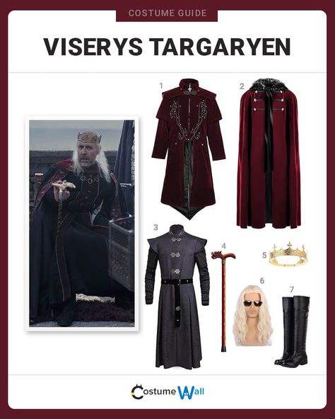 Viserys Targaryen Costume Targaryen Costume, Viserys Targaryen, Got Costumes, Silver Wigs, Long Blonde Wig, Medieval Decor, Steampunk Jacket, Costume Guide, Best Costume