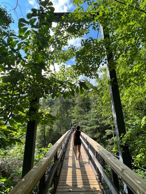 Aesthetic bridge on the Tallulah Gorge trail located in Tallulah Falls Georgia. Tallulah Gorge Georgia, Tallulah Falls Georgia, Tallulah Gorge, Amicola Falls State Park, Dahlonega Georgia, Cambugahay Falls, Baatara Gorge Waterfall, Camping Trips, Railroad Tracks