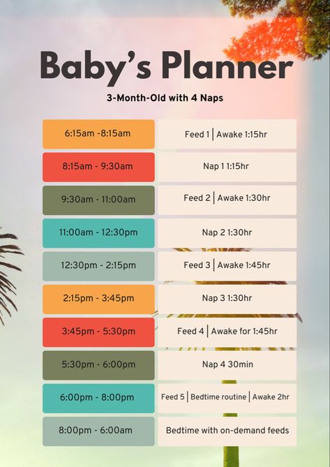 4 Month Sleep Schedule, 3 Month Old Schedule, 4 Month Old Schedule, 3 Month Old Sleep, Baby Shopping List, 5 Month Old Baby, Baby Planner, Baby Notes, 4 Month Baby