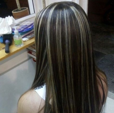 Chunky Blonde Highlights, Skunk Hair, Rambut Brunette, Blonde Highlights On Dark Hair, Highlights Curly Hair, Red Hair Inspo, Y2k Hairstyles, Brown Hair Inspo, Hair Color Streaks