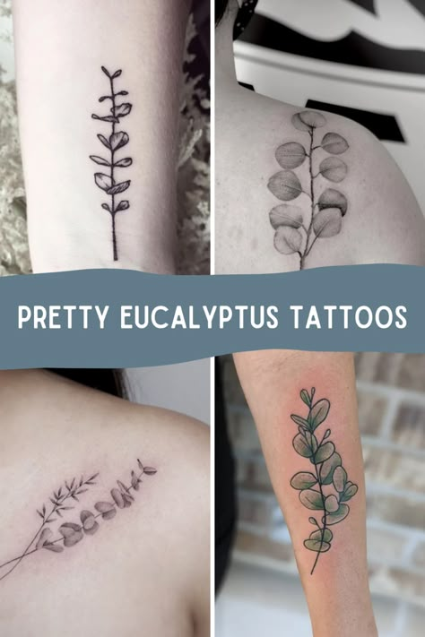 47 Soft + Simple Eucalyptus Tattoo Designs - TattooGlee Eucalyptus Line Tattoo, Seeded Eucalyptus Tattoo, Eucalyptus Finger Tattoo, Eucalyptus Tattoo Black And White, Eucaplytus Tattoo, Silver Dollar Eucalyptus Tattoo, Eucalyptus Bouquet Tattoo, Eucalyptus Plant Tattoo, Chinese Money Plant Tattoo