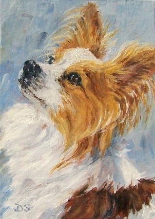 Papillon Dog Painting, Dogs Watercolor, Puppy Crafts, Dog Wallpapers, Dog Portraits Painting, Watercolor Dog Portrait, Dog Pop Art, Papillon Dog, Art Miniature