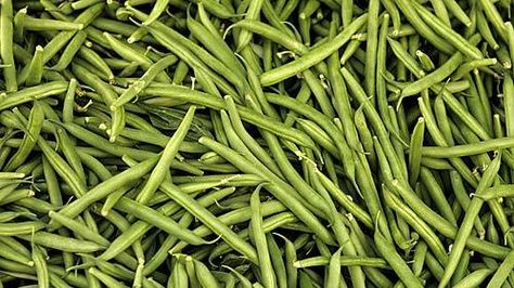 Green beans Flat Beans, Produce Storage, String Beans, String Bean, Long Slip, How To Store, Blue Lake, Easy Cookie Recipes, Vegetable Dishes