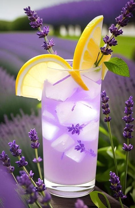 Benefits Of Lavender, Tea Lavender, Bedtime Tea, Lemonade Drink, Summer Lemonade, Hawaii Wall Art, Lavender Benefits, Mint Lemonade, Lemonade Drinks