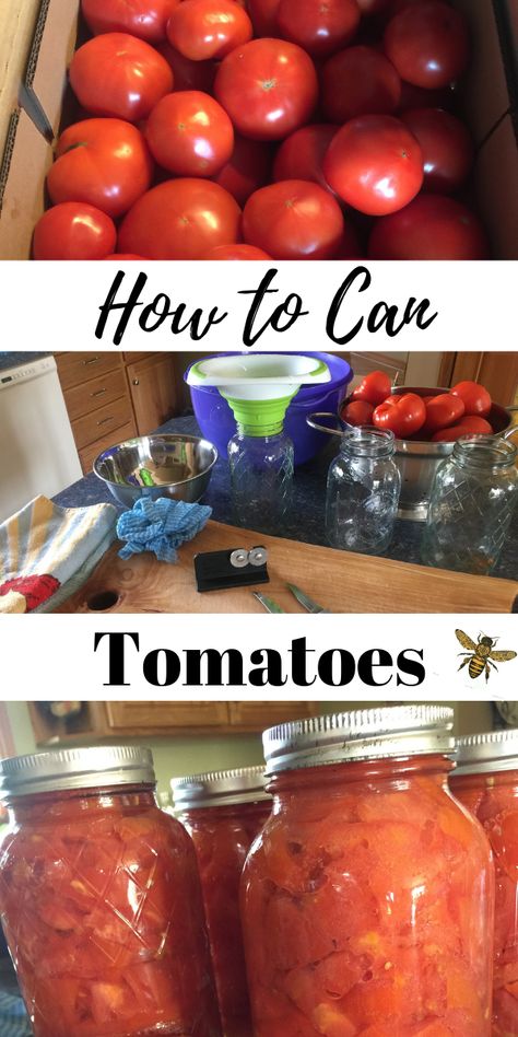 Frozen Tomatoes, Homesteading Inspiration, Homesteading Hacks, Suburban Homesteading, Can Tomatoes, Homestead Recipes, Pressure Canning Recipes, Canning Vegetables, Modern Homesteading