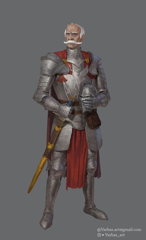 Old Soldier Fantasy Art, Fantasy Soldier Medieval, Old Knight, Knights Of Honor, Dnd Paladin, Knight Drawing, Knight Art, D&d Dungeons And Dragons, Armor Concept