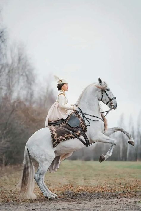 Victorian Horse, Equestrian Aesthetic, Pony Style, Side Saddle, Riding Horse, Medieval World, Equestrian Lifestyle, Horse Carriage, Miniature Horse