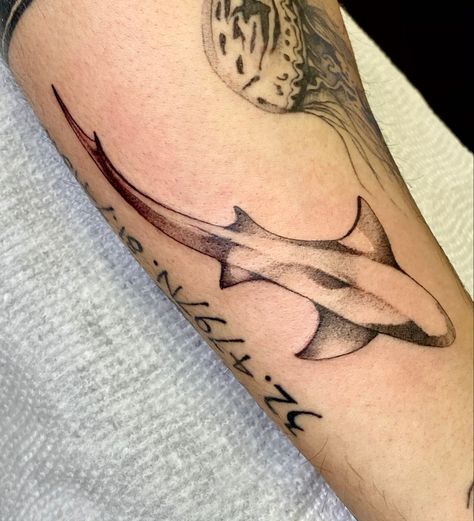 Blacktip Shark, Shark Tattoo, Shark Tattoos, Deathly Hallows Tattoo, Triangle Tattoo, Tattoos