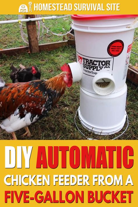 A DIY automatic chicken feeder saves you time and keeps your chickens happy. You'll need a five-gallon bucket and some other supplies. Diy Automatic Chicken Feeder, Homemade Chicken Feeder, Pet Chickens Breeds, Chicken Aesthetic, Chicken Feeder Diy, Chicken Bucket, Easy Chicken Coop, Diy Chicken Coop Plans, Homemade Bird Feeders