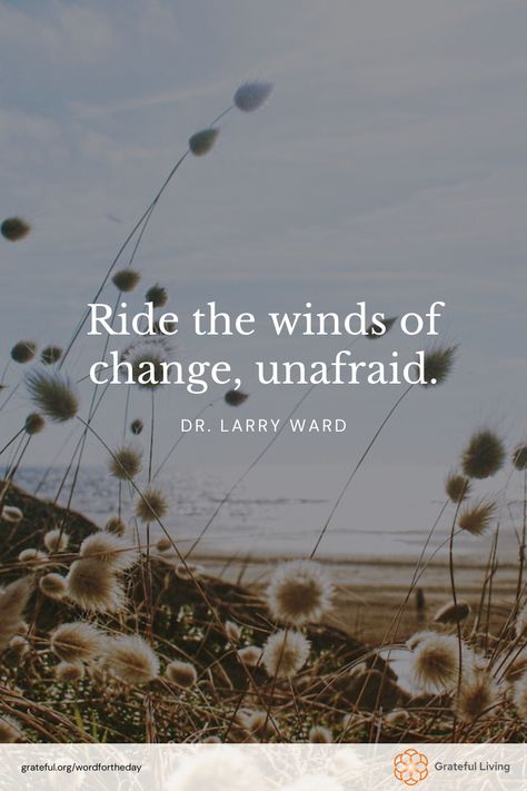 "Ride the winds of change, unafraid." -Dr. Larry Ward

📷: Valentin

#WordForTheDay #GratefulLiving #Gratitude #Gratefulness #Grateful #Quote #Quotes #DailyQuote #QuoteOfTheDay #GratitudePractice #GratitudeDaily Change Of Scenery Quotes, Nature Lover Quotes Feelings, Scenery Quotes, Horizon Quotes, Peaceful Quotes, Wind Of Change, Awesome Quotes, Practice Gratitude, Daily Quotes